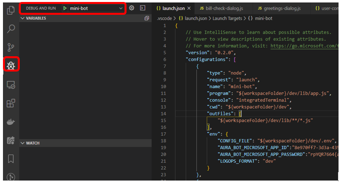 launch json file