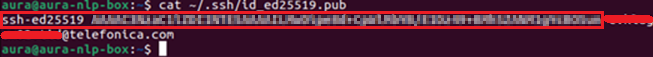 Ubuntu Terminal - cat SSH key
