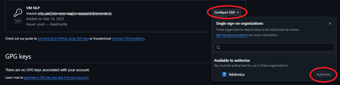 GitHub Authorize SSH Key
