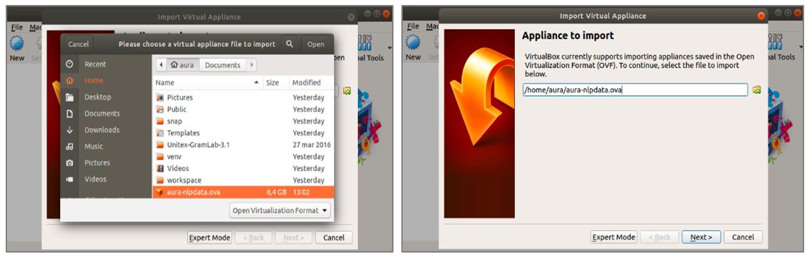 Select Aura NLP Virtual Machine to be imported