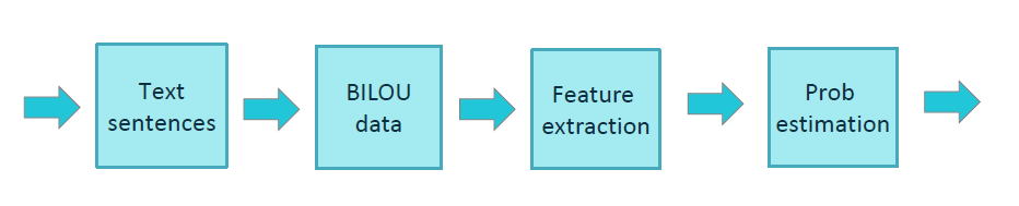 Standard NER training process